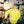 Load image into Gallery viewer, 4010 RECYCLED COTTON CREWNECK
