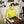Load image into Gallery viewer, 1020 RECYCLED COTTON T-SHIRT
