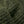Load image into Gallery viewer, 9004 SHAKER BEANIE
